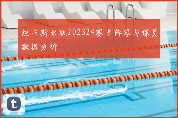 纽卡斯尔联202324赛季阵容与球员数据分析