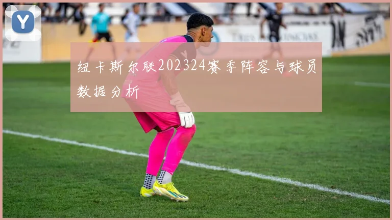 纽卡斯尔联202324赛季阵容与球员数据分析