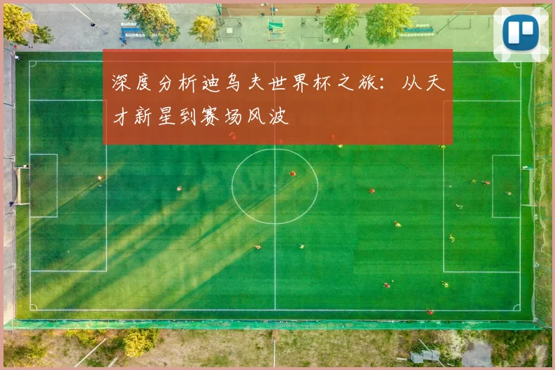 深度分析迪乌夫世界杯之旅：从天才新星到赛场风波