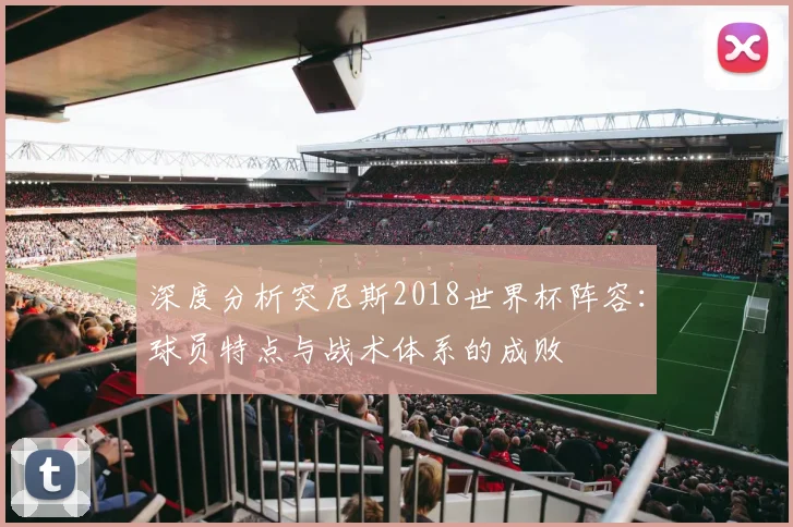 深度分析突尼斯2018世界杯阵容：球员特点与战术体系的成败